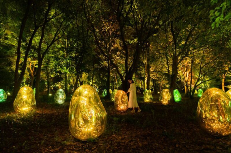 Osaka: teamLab Botanical Garden Entry Ticket - The Sum Up