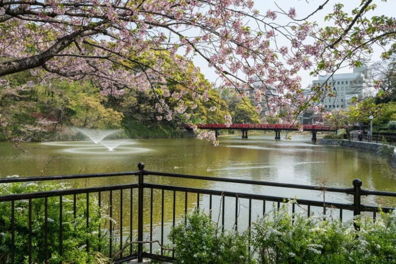 Osaka: Tennoji Ward, Shinsekai 3 hours Walking Tour - Key Points