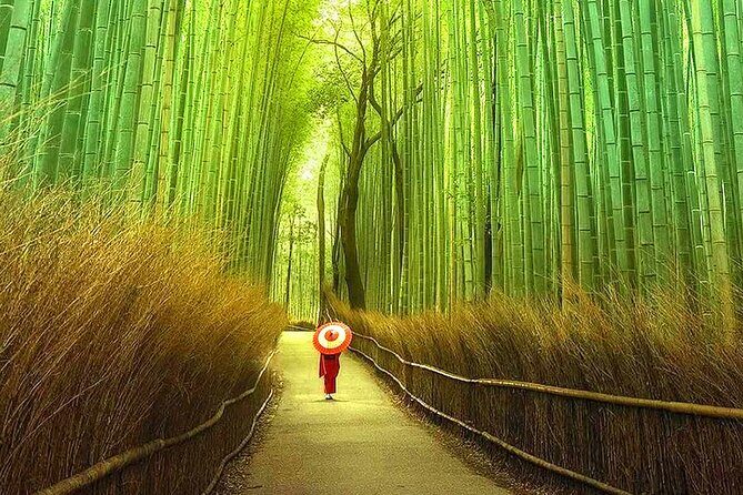 Osaka to Kyoto Arashiyama Bamboo Grove Small Group Tour - Final Thoughts