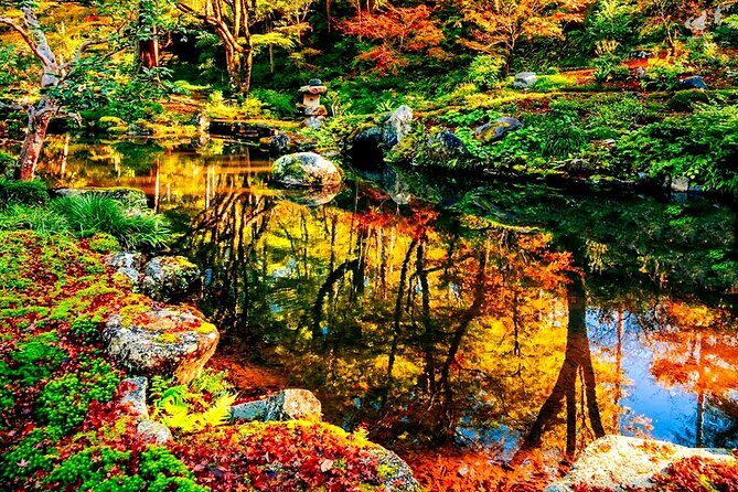 Osaka to Kyoto Arashiyama Bamboo Grove Small Group Tour - FAQ