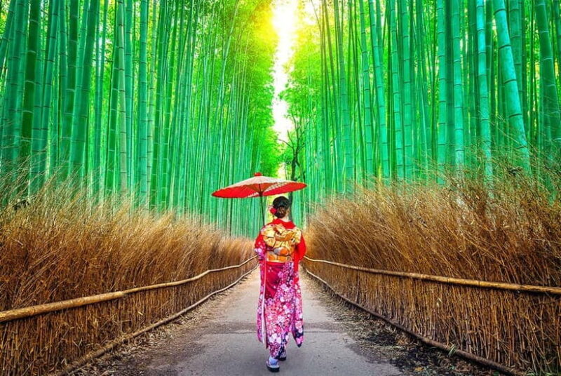 Osaka to Kyoto: Arashiyama Bamboo Grove Small Group Tour - An In-Depth Look at the Tour