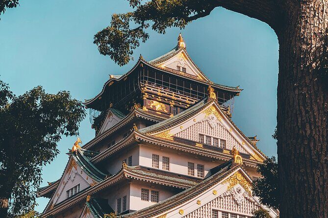 Osaka to Nara Park Private Day Trip with English Driver - The Sum Up