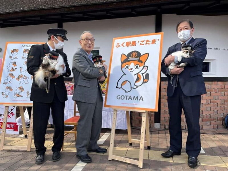 Osaka: Wakayama Cat Train, Seafood market, Hot Springs Tour - A Detailed Look at the Wakayama Day Trip