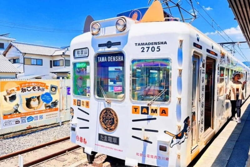 Osaka: Wakayama Cat Train, Seafood market, Hot Springs Tour - Final Thoughts