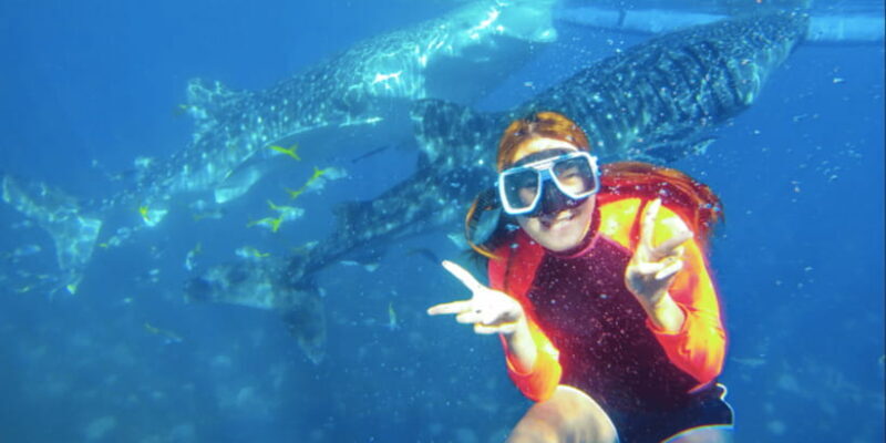 Oslob: Sumilon Sand Bar, Whale Sharks & Sardines Snorkeling - FAQ: Your Questions Answered
