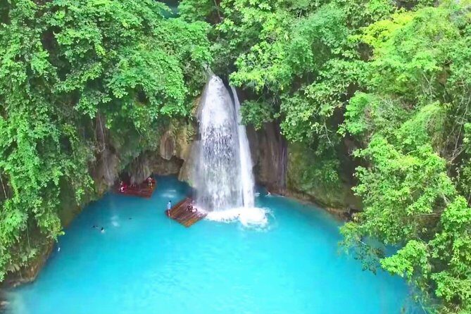 Oslob Whale Shark and Kawasan Falls Day Tour - Who Will Love This Tour?