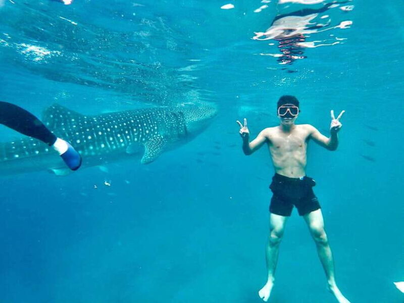 Oslob Whale Shark Direct - Who Will Love This Tour?