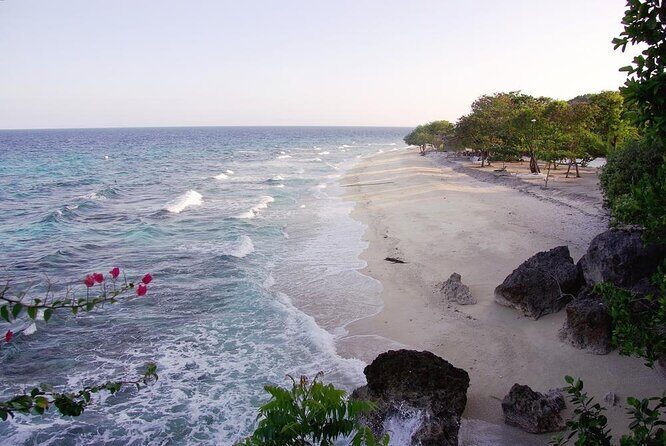 Oslob Whale Shark Group Tour with Sumilon Island & Tumalog Falls - Key Points