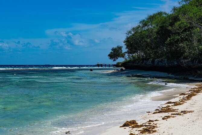Oslob Whale Shark Group Tour with Sumilon Island & Tumalog Falls - What’s Included and What’s Not