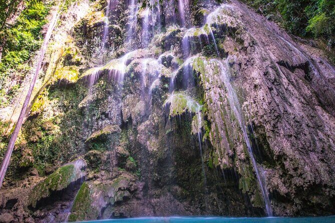 Oslob Whale Shark Group Tour with Sumilon Island & Tumalog Falls - The Sum Up