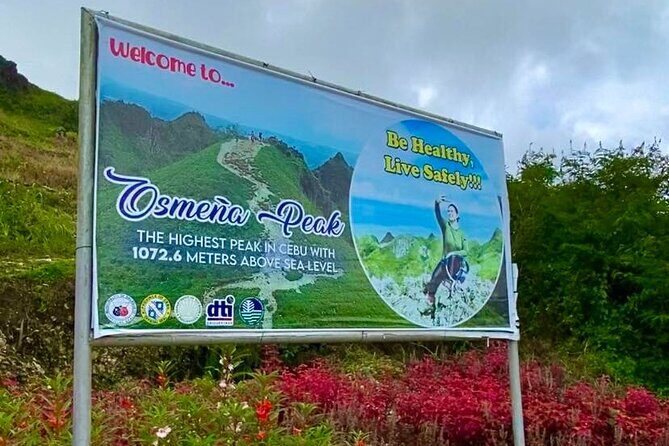 Oslob Whale Shark Snorkeling & Tumalog Falls with Osmeña Peak - In-Depth Review of the Tour Experience