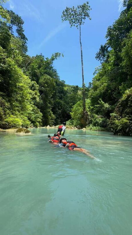 Oslob Whale Shark Swimming & Kawasan Falls Canyoneering - The Authentic Experience: What Travelers Say