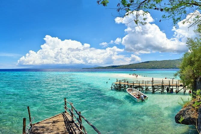 Oslob Whale Shark & Tumalog Waterfalls & Sumilon Sandbar - Why This Tour Is Worth Considering