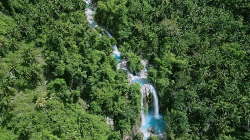 Oslob: Whale Sharks, Inambakan Falls & Moalboal Sardines - An In-Depth Look at the Tour Experience