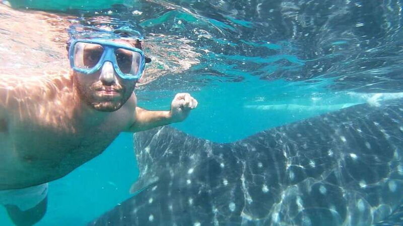 Oslob: Whale Sharks, Inambakan Falls & Moalboal Sardines - The Experience from Reviews: Authentic Perspectives