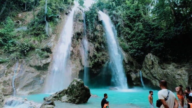 Oslob: Whale Sharks, Inambakan Falls & Moalboal Sardines - Frequently Asked Questions