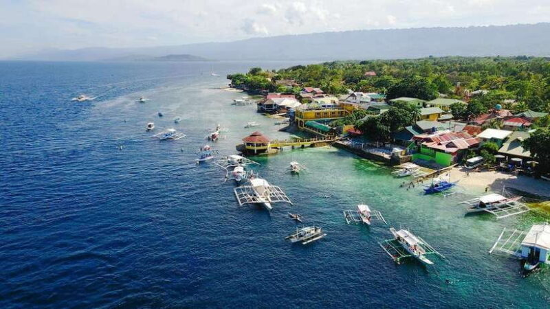 Oslob: Whale Sharks, Tumalog Falls, & Monkey Sanctuary Tour - Why This Tour Is Worth Considering