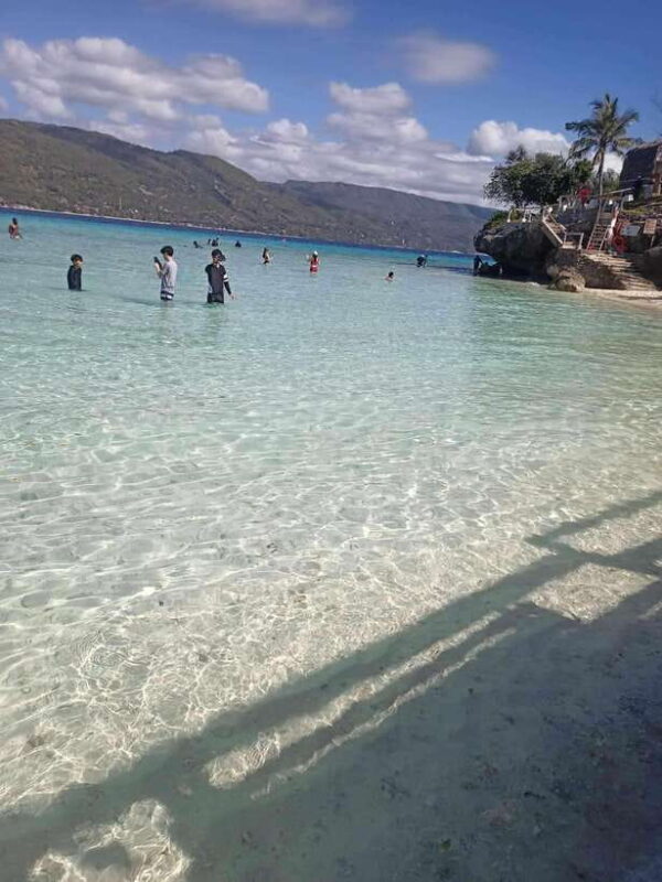 Oslob: Whale Sharks, Tumalog Falls & Sumilon Trio Adventure - What You Can Expect from This Tour