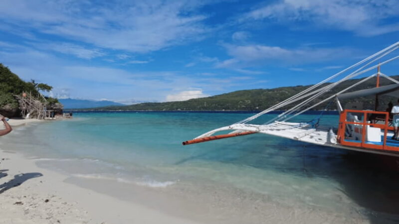 Oslob: Whale Sharks, Tumalog Falls & Sumilon Trio Adventure - Who Will Love This Tour?