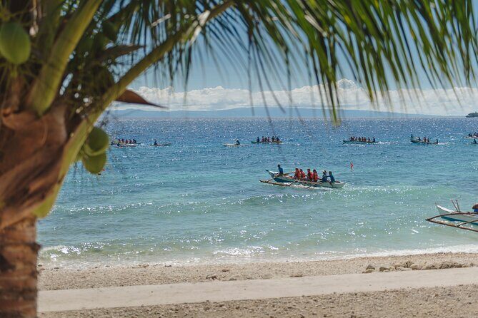 Oslob Whaleshark and Kawasan Falls Tour - Who Should Book This Tour?