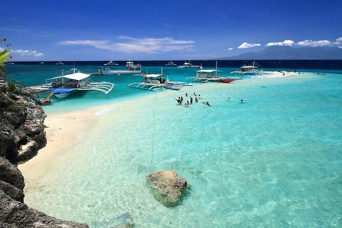 Oslob Whaleshark, Sumilon Sandbar & Tumalog Falls Tour with Lunch - Who Will Love This Tour?