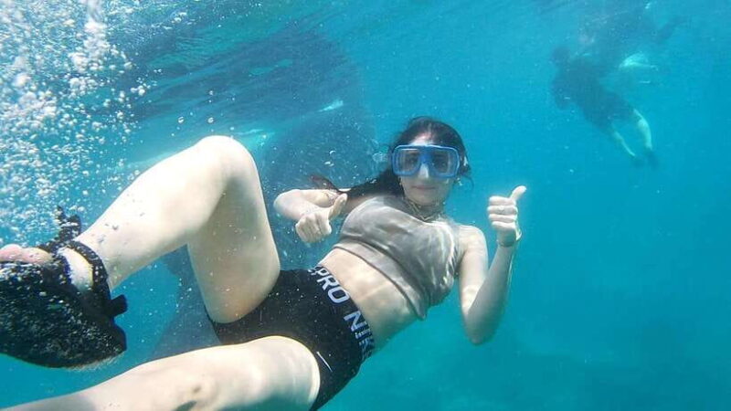 Oslob: Whaleshark Swimming, Tumalog Falls & Sumilon Island - What’s Included and What’s Not