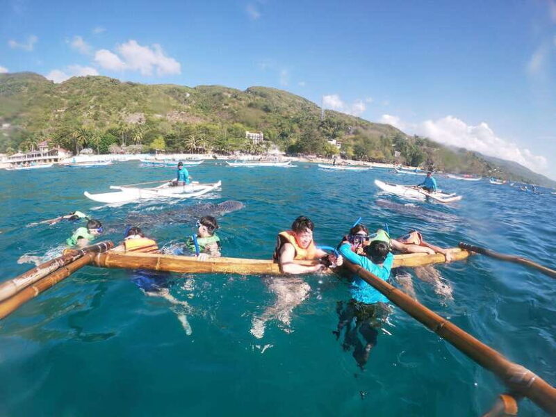 Oslob: Whaleshark Swimming, Tumalog Falls & Sumilon Island - The Value of the Tour