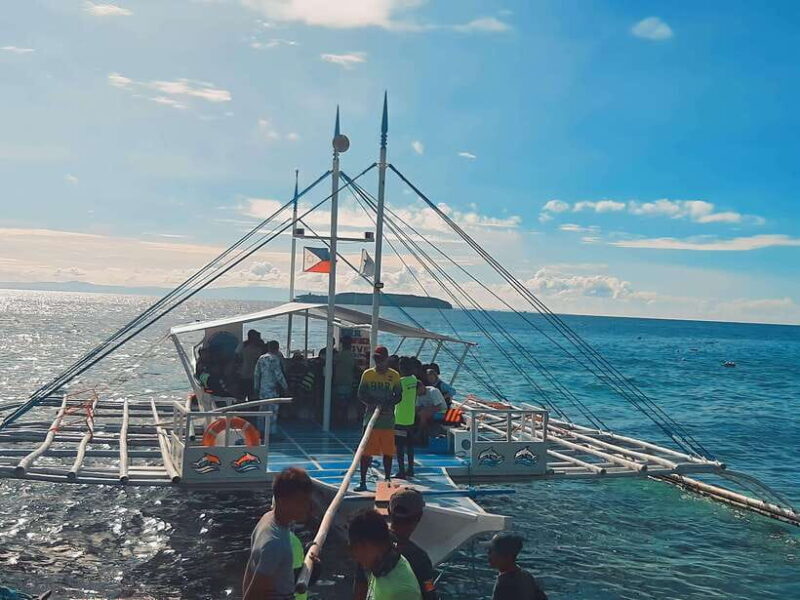Oslob: Whaleshark Swimming, Tumalog Falls & Sumilon Island - Who Should Consider This Tour