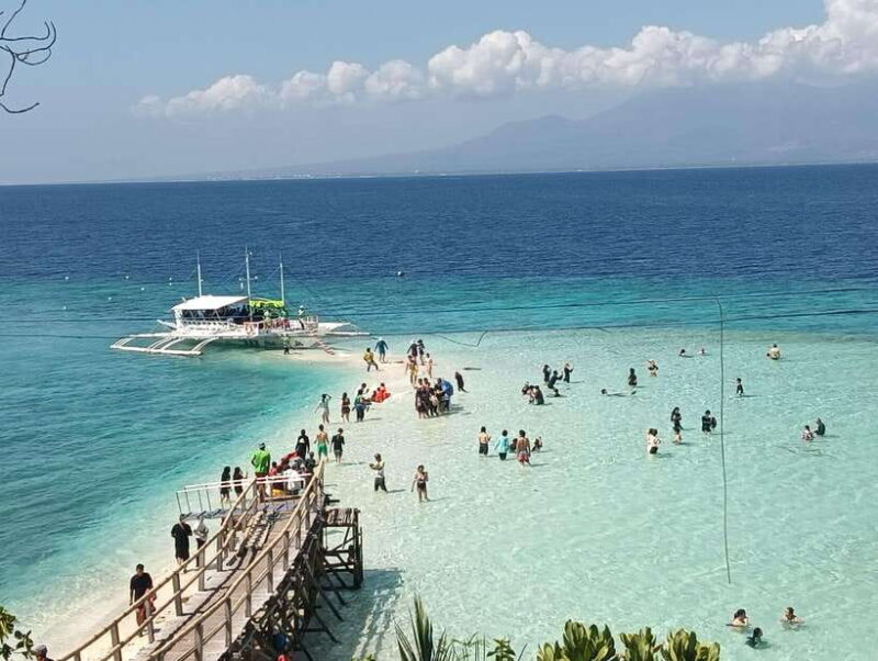 Oslob: Whaleshark Watching, Sumilon Island & Monkey Viewing - Who Should Consider This Tour?