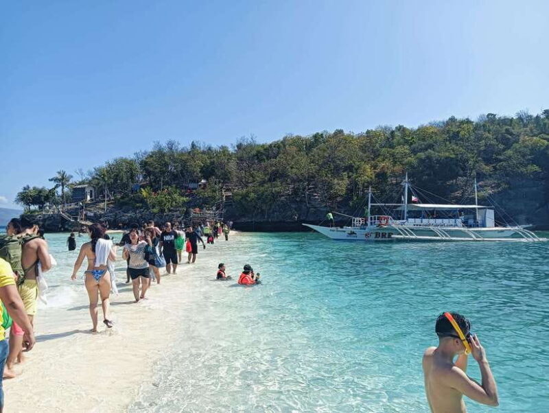 Oslob: Whaleshark Watching, Tumalog Falls & Sumilon Island - An Overview of the Experience