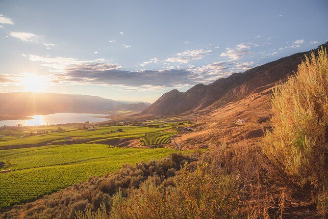 Osoyoos Half Day Wine Tour (Incl. Tasting Fees & Guide Gratuity!) - The Itinerary in Detail: What You Can Expect