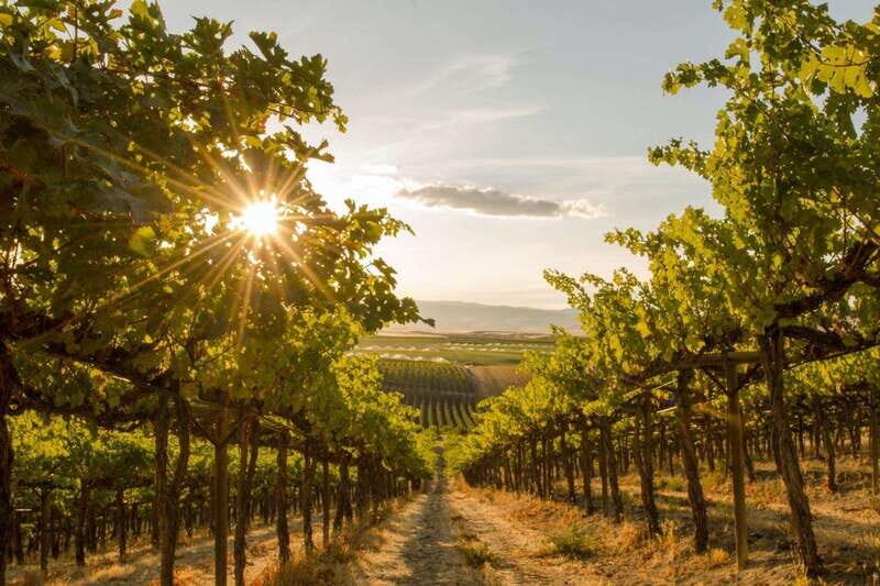 Osoyoos: Osoyoos Full Day Guided Wine Tour - Final Thoughts