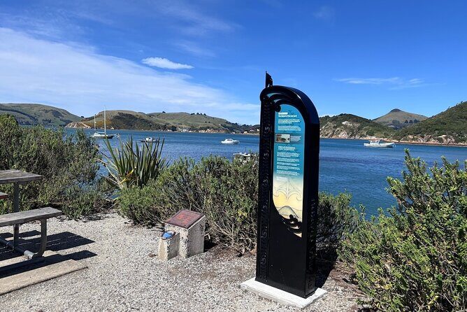 Otago Harbour by Bike: A Self Guided Tour - Who Will Love This Tour?