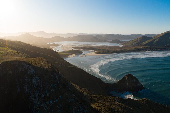 Otago Peninsula & Larnach Castle Shore Excursion - What’s Included and Pricing