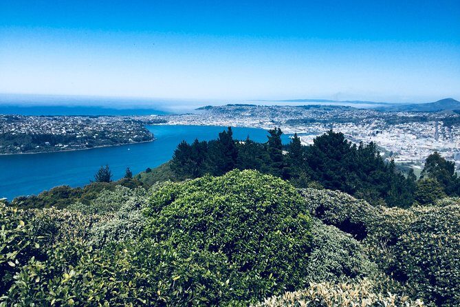 Otago Peninsula Scenery and Dunedin City Highlights Tour - Final Thoughts