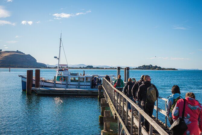 Otago Peninsula Wildlife Cruise with Monarch - Detailed Itinerary Breakdown