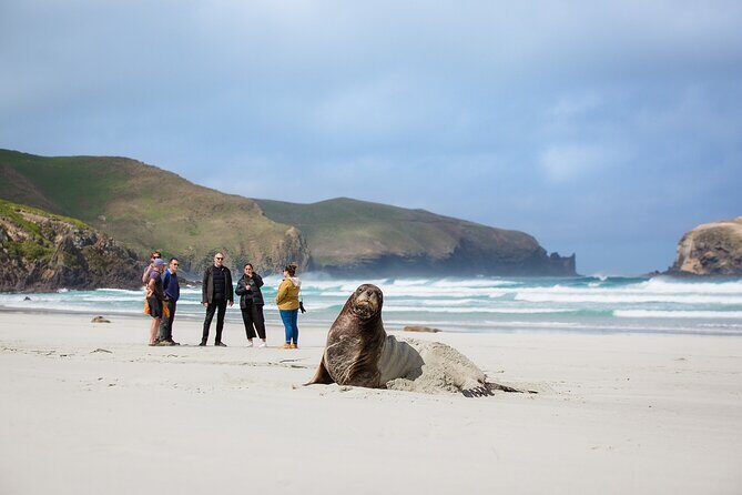 Otago Peninsula Wildlife Tour & Cruise - FAQ