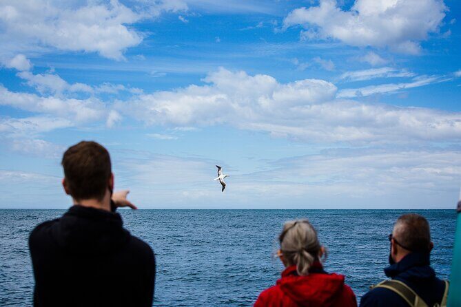 Otago Peninsula Wildlife Tour & Cruise - Final Word
