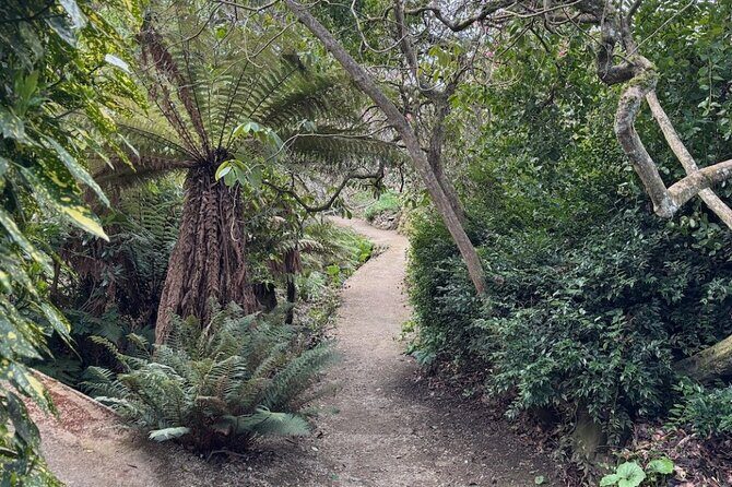 Otago Peninsula's Hidden Gems: A Self Guided Driving Tour - The Value of This Tour