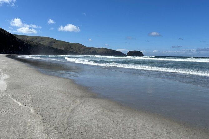 Otago Peninsula's Hidden Gems: A Self Guided Driving Tour - Frequently Asked Questions