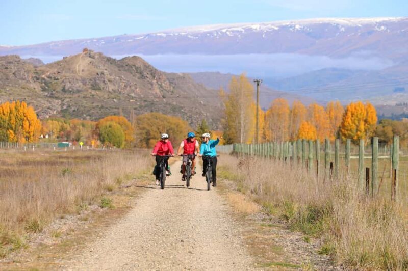Otago: Rail Trail Self-Guided Biking Experience - The Sum Up: Who Should Consider This?
