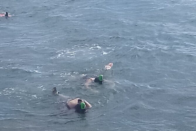 Other side of heaven Eco friendly snorkeling adventure - Practical Details: What You Need to Know
