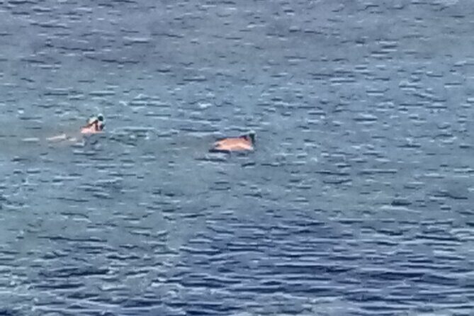 Other side of heaven Eco friendly snorkeling adventure - What Past Travelers Say
