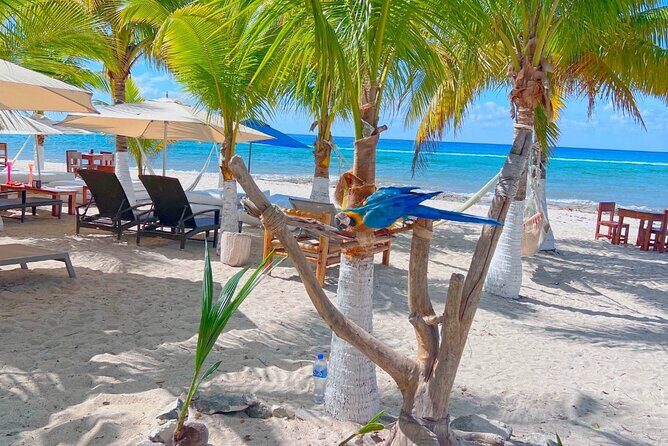 Otoch Mayan Experience Tour: Cultural & Historical Adventure - Final Thoughts