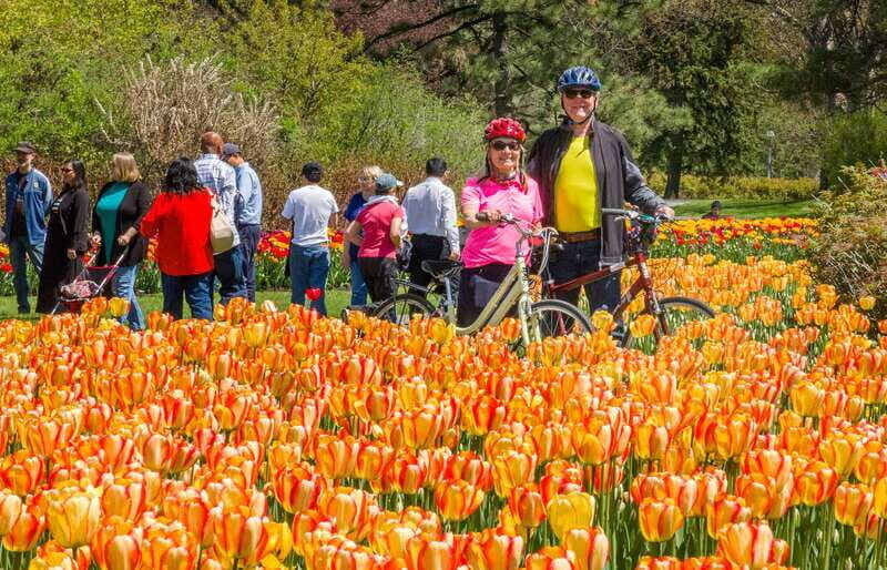 Ottawa: 2 or 3.5-Hour Guided Bike Tour with a Local Guide - Ottawa: 2 or 3.5-Hour Guided Bike Tour with a Local Guide — A Practical and Authentic Way to Explore Canada’s Capital