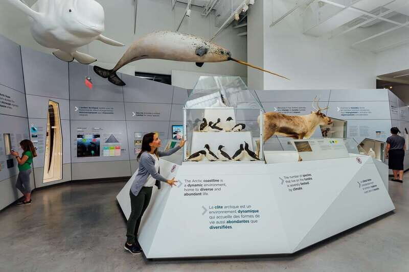 Ottawa: Canadian Museum of Nature Admission - An In-Depth Look at the Canadian Museum of Nature
