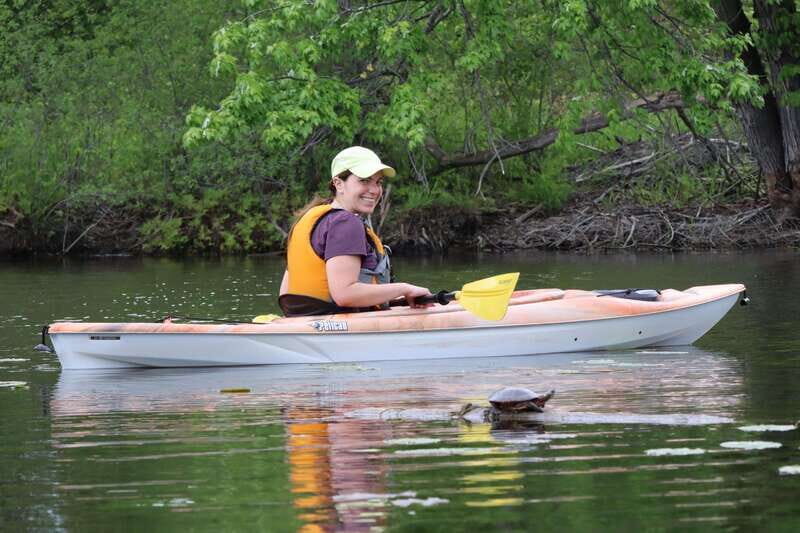 Ottawa: Ecological Reserve Kayak Tour with Turtle Sightings - The Sum Up