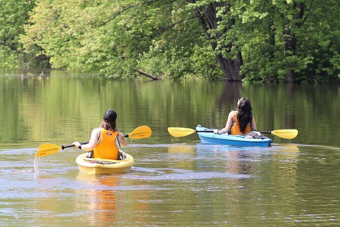 Ottawa Ecological Reserve Kayak Tour with TURTLE Sightings - Key Points