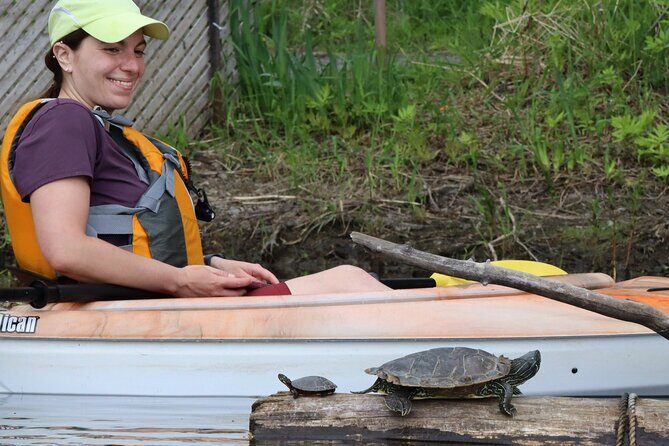 Ottawa Ecological Reserve Kayak Tour with TURTLE Sightings - A Deep Dive into the Experience