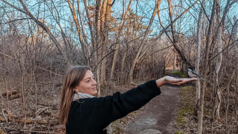 Ottawa: Guided Nature Walk & Wildlife Tour with Hotel Pickup - An Introduction to the Tour